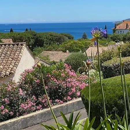 3 ,vue Golfe De Saint-tropez, A Pied, Piscine Tatil Evi