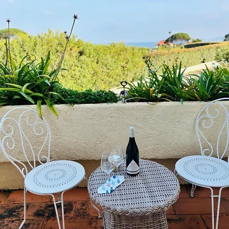 Tatil Evi 3 ,vue Golfe De Saint-tropez, A Pied, Piscine